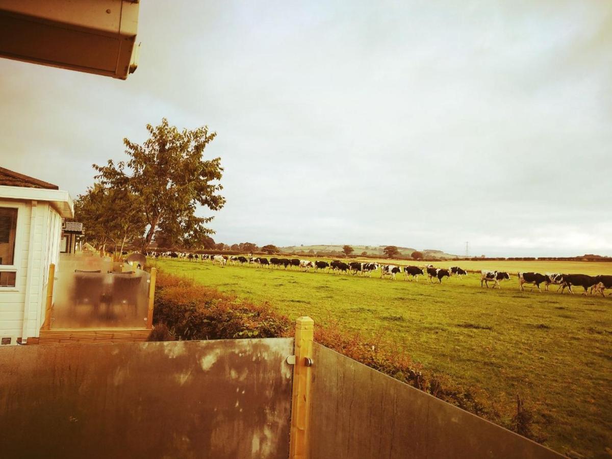 High Hesket 19 Park Views Just Outside Penrith For Holidays And Short Breaks Please No Commercial Vans Thankyou מראה חיצוני תמונה